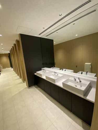 芝田・茶屋町・大深町のグラングリーン大阪 水回り6