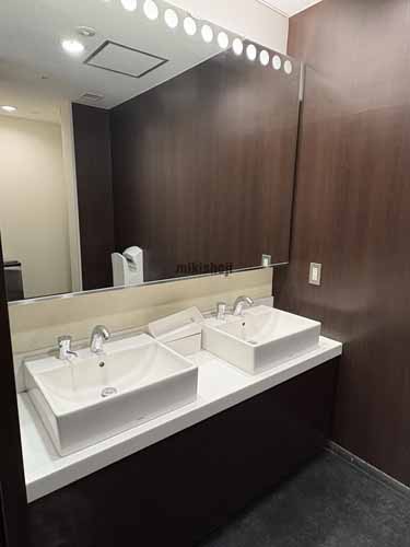 東品川のスフィアタワー天王洲 水回り5